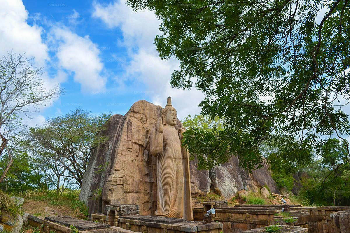 Aukana Buddha Statue, Vijithapura, and Kalawewa Day Tour